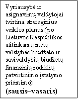 Vyriausybė ir asignavimų valdytojai tvirtina strateginius veiklos planus (po Lietuvos Respublikos atitinkamų metų valstybės biudžeto ir savivaldybių biudžetų finansinių rodiklių  patvirtinimo įstatymo priėmimo)
(sausis–vasaris)
