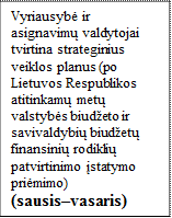 Vyriausybė ir asignavimų valdytojai tvirtina strateginius veiklos planus (po Lietuvos Respublikos atitinkamų metų valstybės biudžeto ir savivaldybių biudžetų finansinių rodiklių patvirtinimo įstatymo priėmimo)
(sausis–vasaris)
